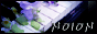NOION 